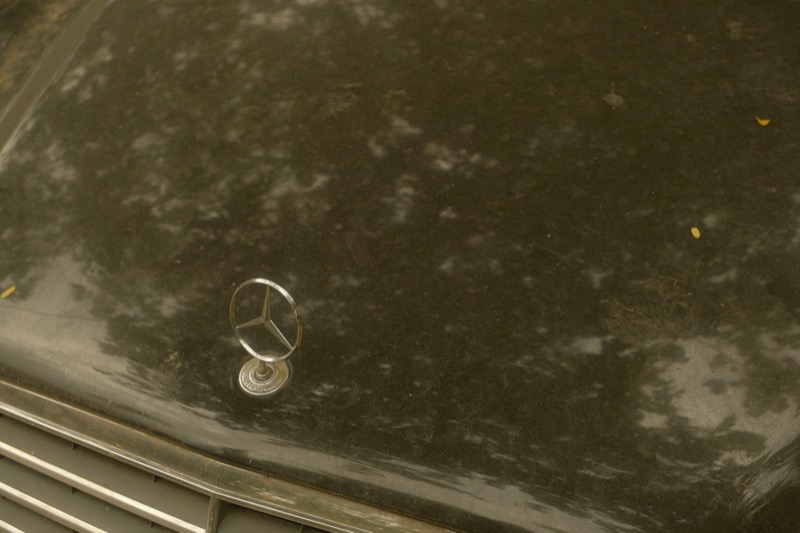 Creative Photography